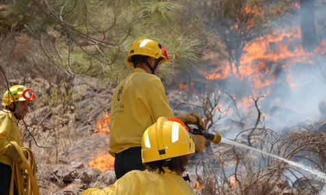 Waldbrände in Andalusien – Feuer breitet sich aus
