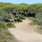 Wanderweg2_Wandern_Barbate_Meca_Annabelle_Haas